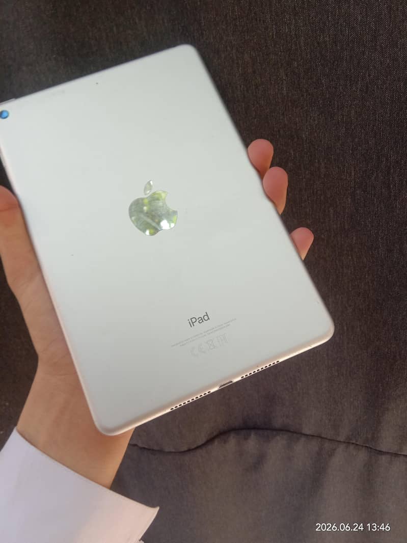 ipad mini 5 1
