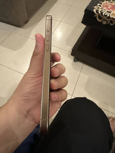 Apple iPhone 16 Pro Max 256 Gb