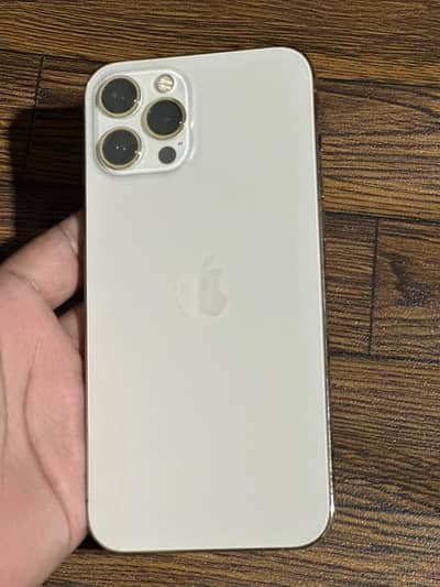 Apple iPhone 12 Pro Max