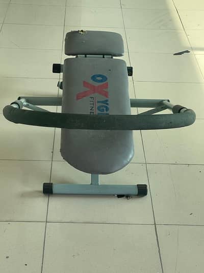 Oxygen Fitness Ab King Pro abdominal exercise machine