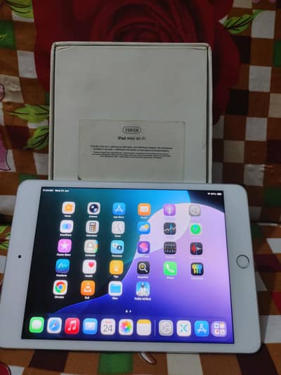 Ipad Mini 5 For Sale 256Gb