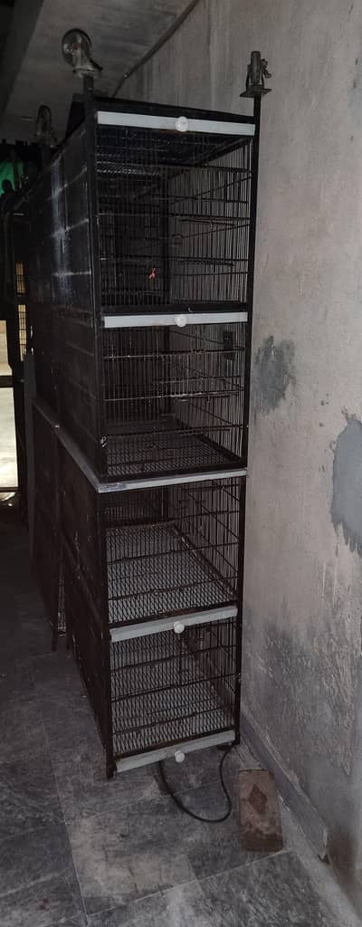 Love birds Cage Solid Angal Folding 4portion