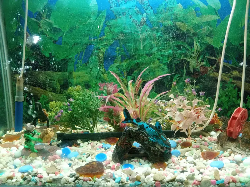 aquarium for sale — photo 2