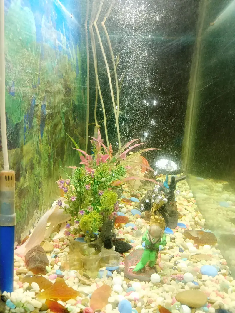 aquarium for sale — photo 3