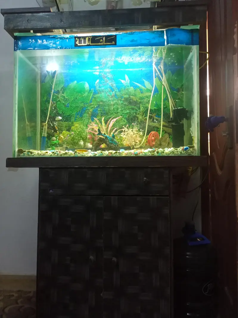 aquarium for sale — photo 4