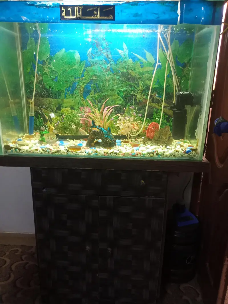 aquarium for sale — photo 5