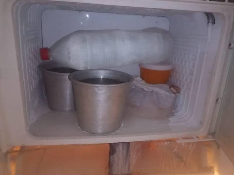 fridge 1