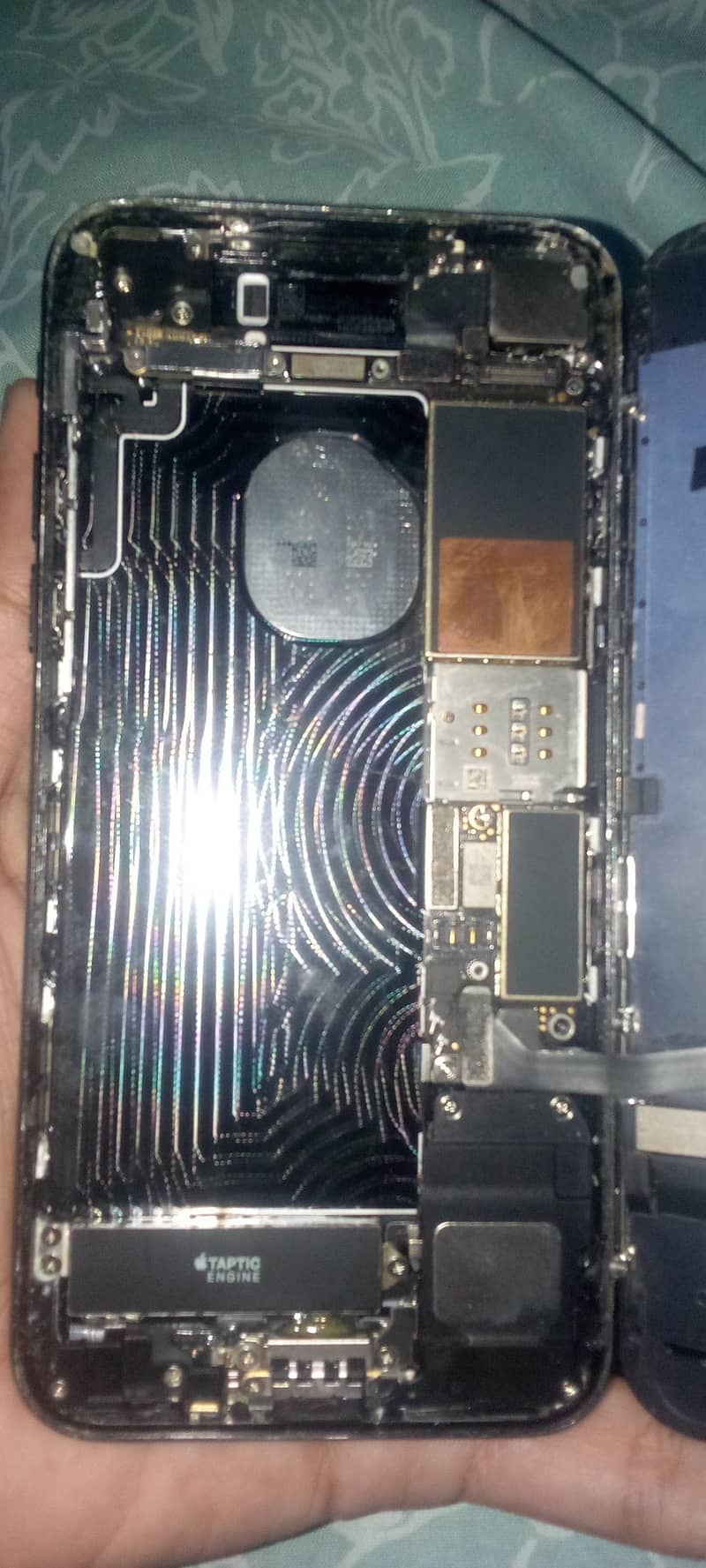 Apple iPhone 7 1