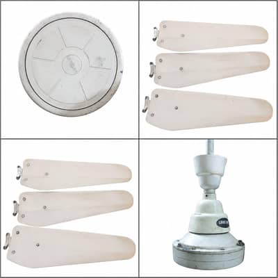 Ceiling fan for sale