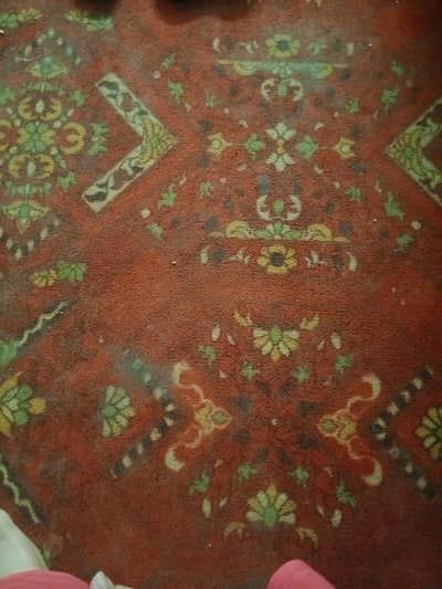 carpet for master bedroom