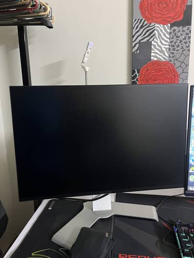 Dell monitor 100hz IPS