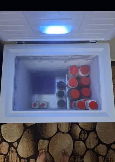 Haeir Single Door Freezer
