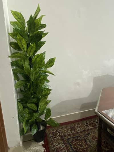 5.3 feet artificial plant