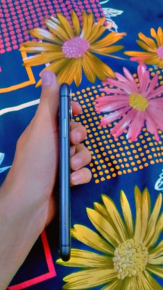 Apple iPhone 11 2