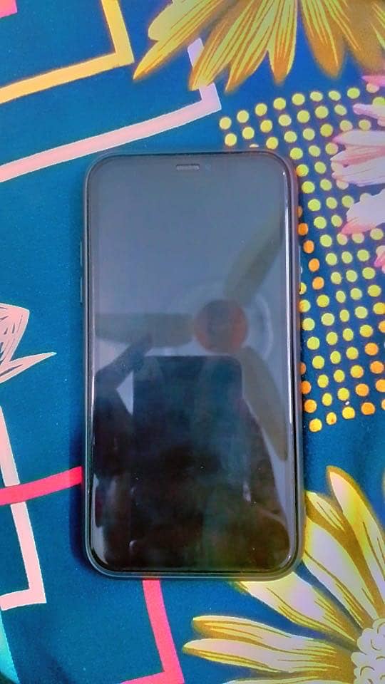 Apple iPhone 11 4