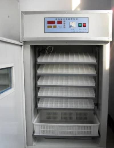 incubator 150 eggs