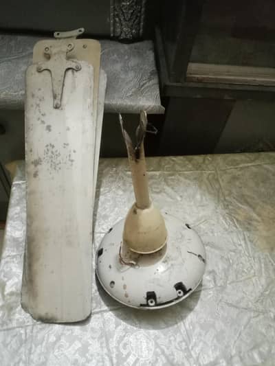Ceiling Fan For Sale