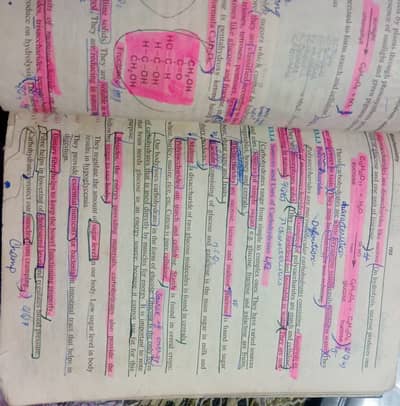 Class 10th books, neat and clean,highted important points,extra notes