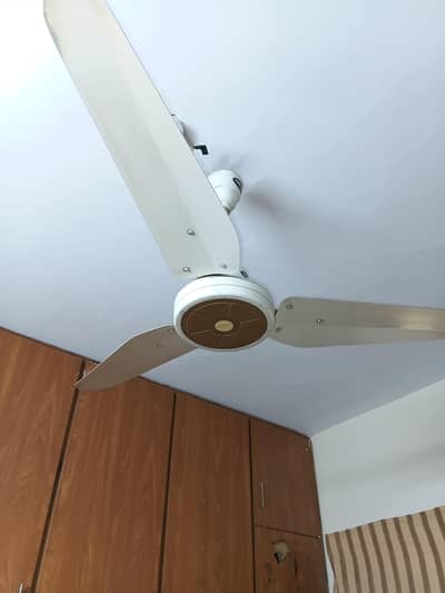 LAHORE  FAN