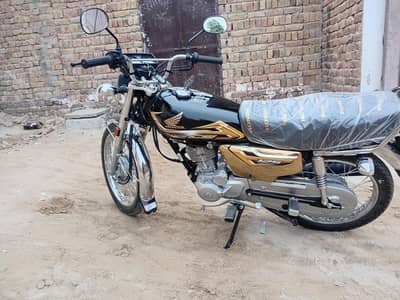 CG 125 GOLD  EDITION  2026 model genuine condition