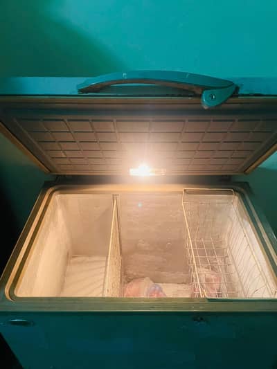 waves deep freezer