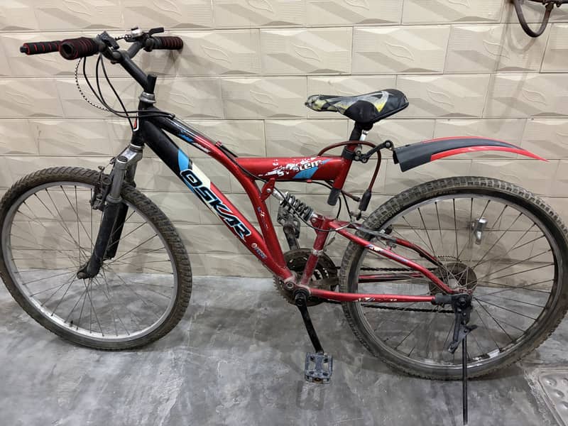 Imported Bicycle 1