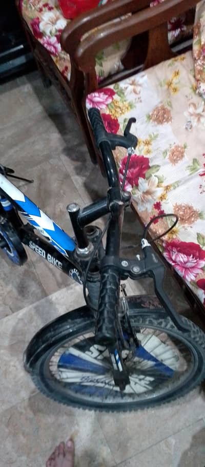 bicycle for children (10-13)