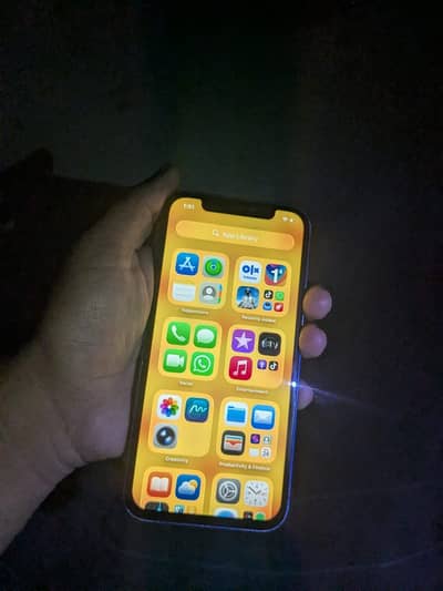 Apple iPhone 12