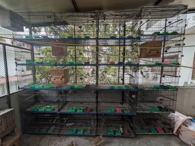 folding cage 4 portion