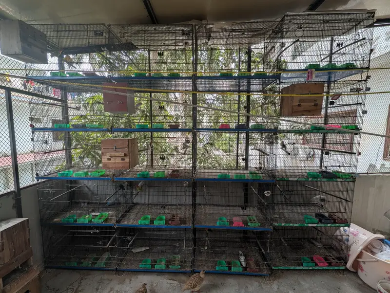 folding cage 4 portion