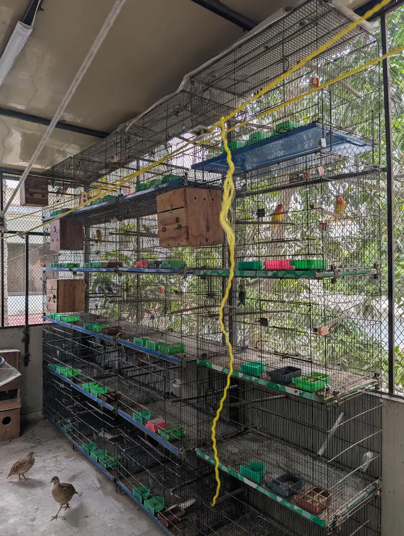 folding cage 4 portion — photo 2