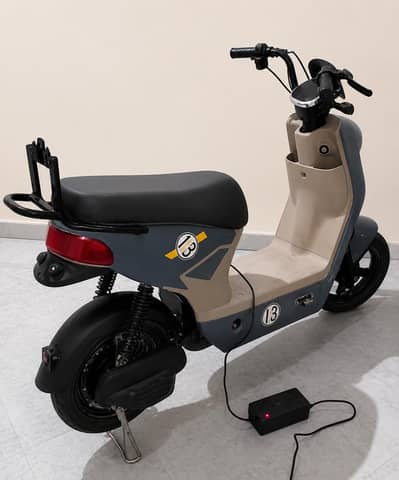 EV for sale