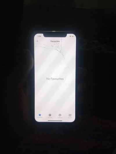 Apple iPhone X