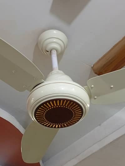 selling fan Cooper 50 watt