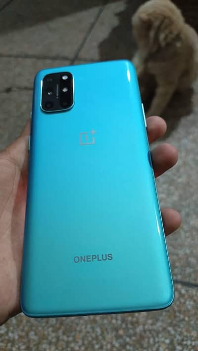 One Plus 8T