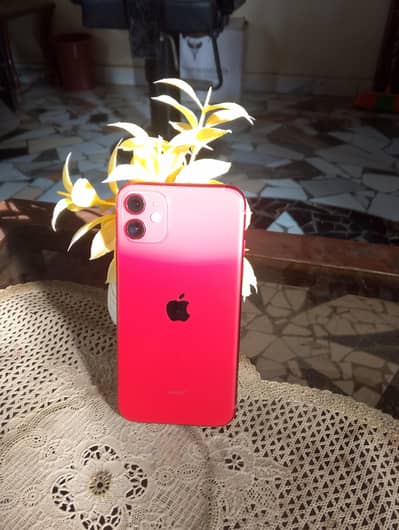 Apple iPhone 11