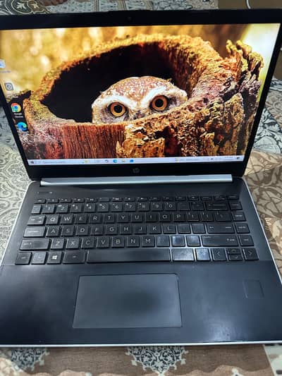 HP Laptop