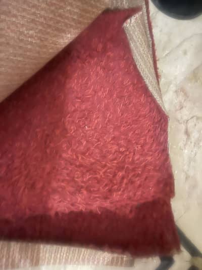 Carpet for sale