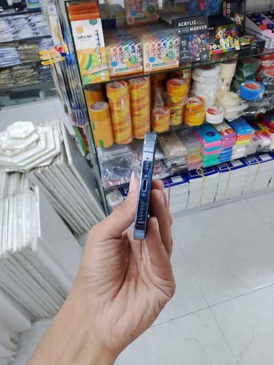 Apple iPhone 13 Pro Max with box