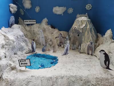 Handmade Class 1 science project