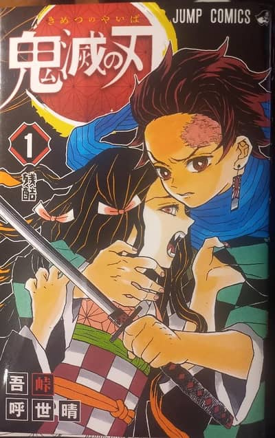 Original Japanese Demon Slayer Manga Vol #1