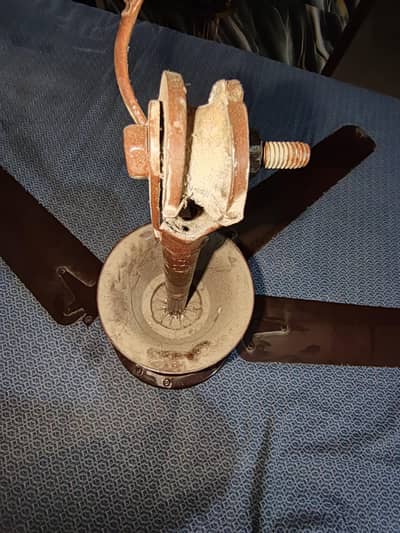 pak ceiling fan