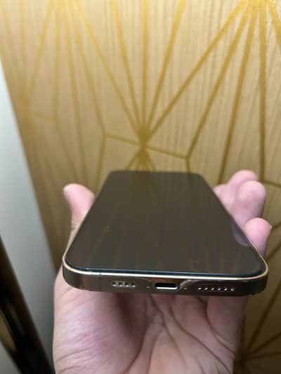 Apple iPhone 12 Pro Max gold cloer