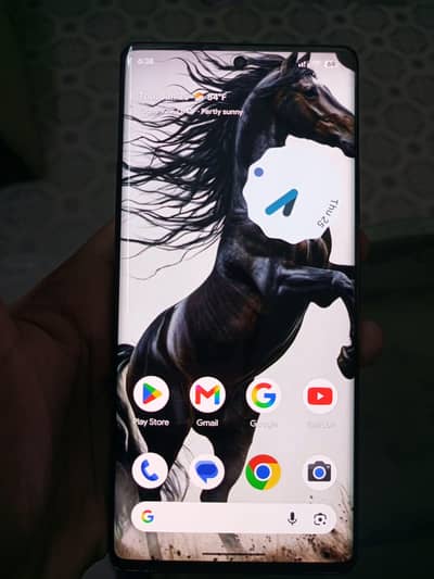 Google Pixel 6 Pro