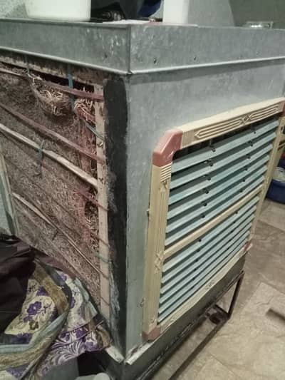 soolar cooler