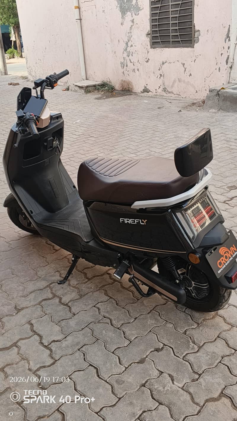 Crown firefly 1