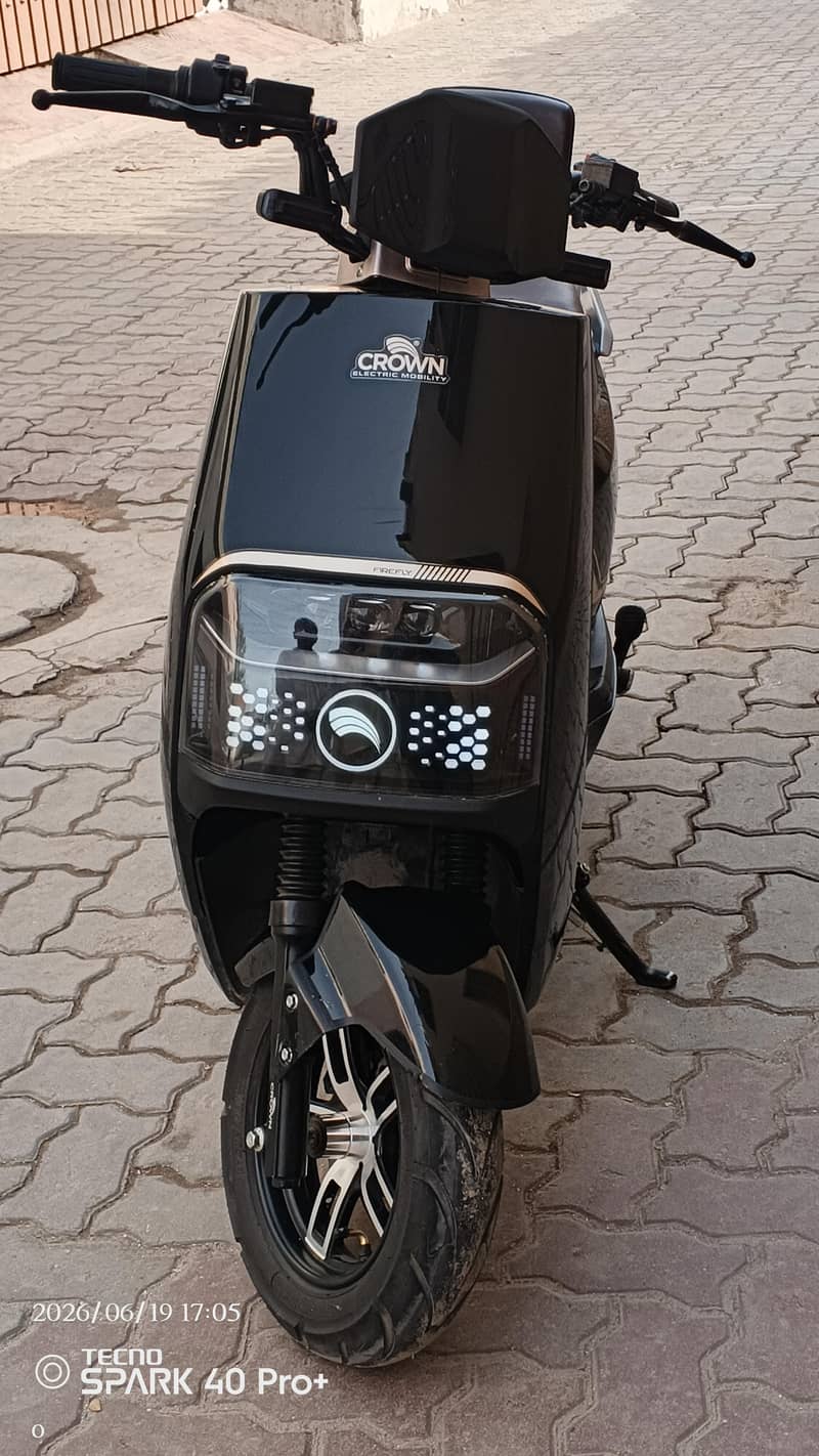 Crown firefly 6