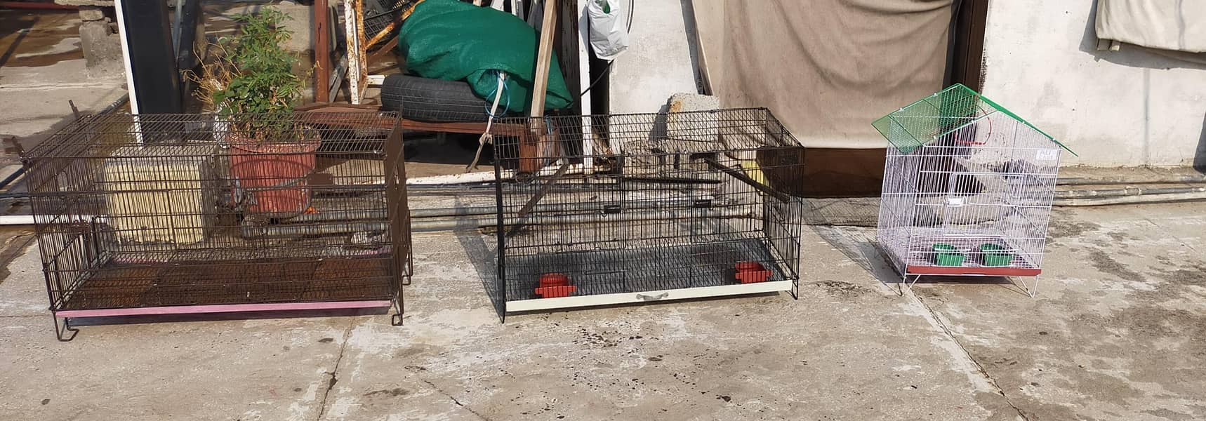 Three Cages 3