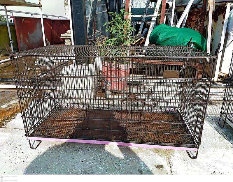 Three Cages 4