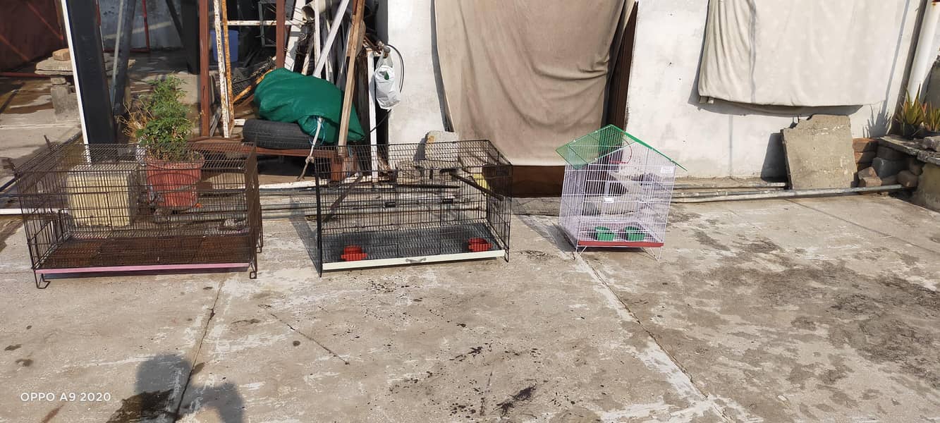 Three Cages 5